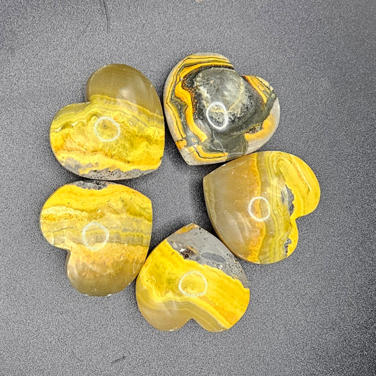 Bumblebee Jasper hearts