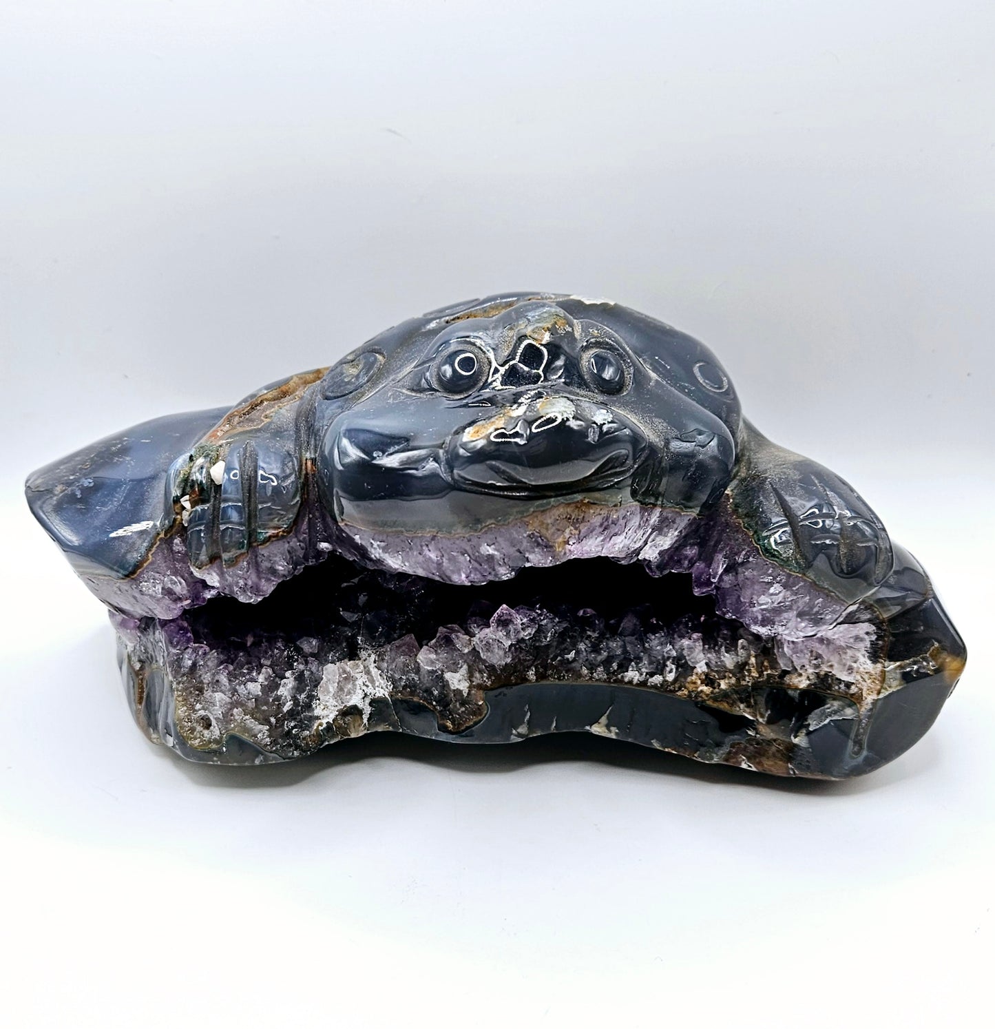 Amethyst Toad- XL