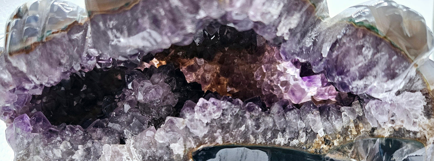 Amethyst Toad- XL