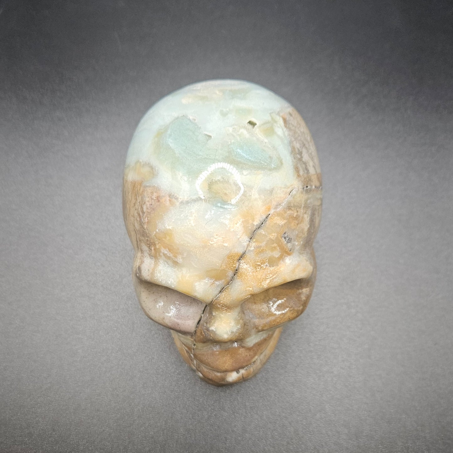 Caribbean Calcite skull