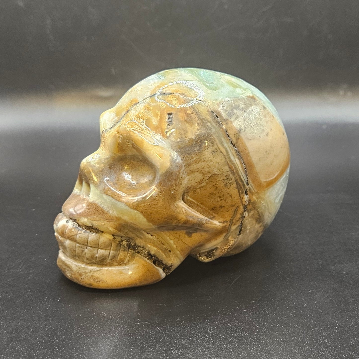 Caribbean Calcite skull