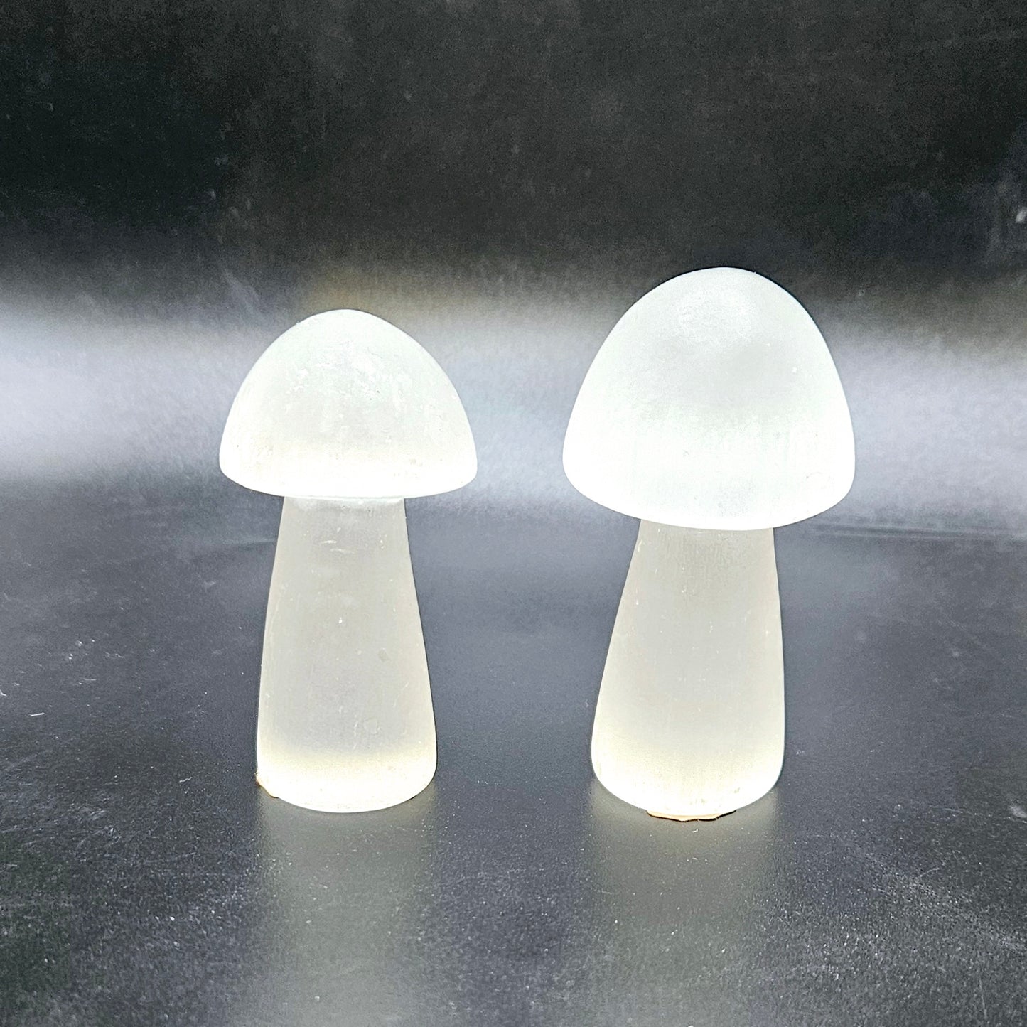 Selenite mushrooms