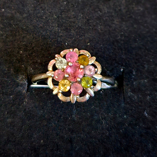 Watermelon Tourmaline fidget ring