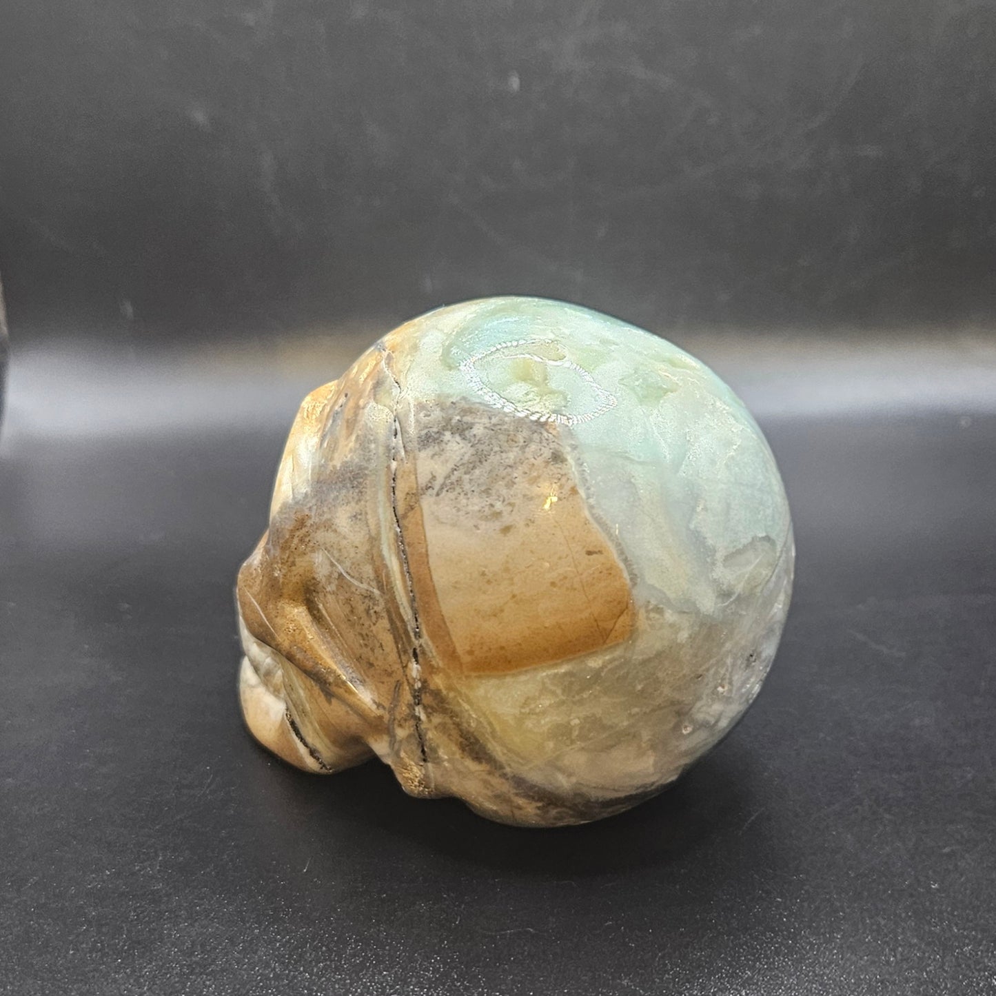 Caribbean Calcite skull