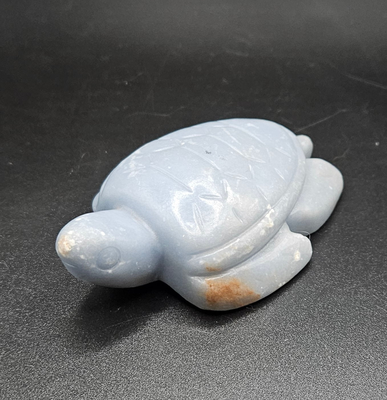 Angelite turtle