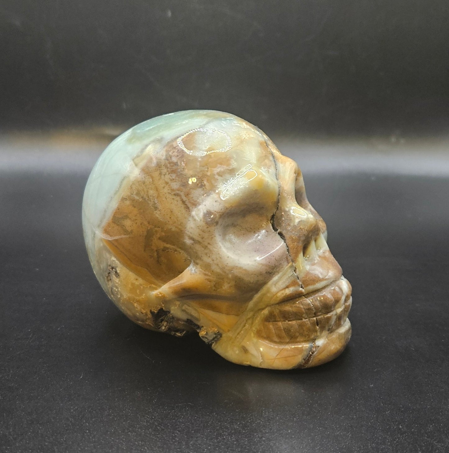 Caribbean Calcite skull