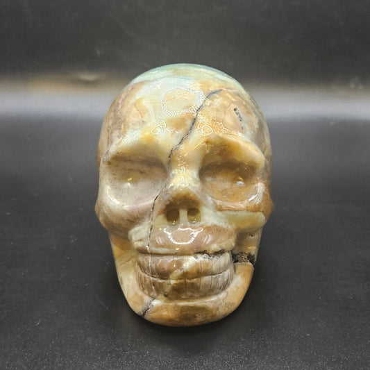 Caribbean Calcite skull