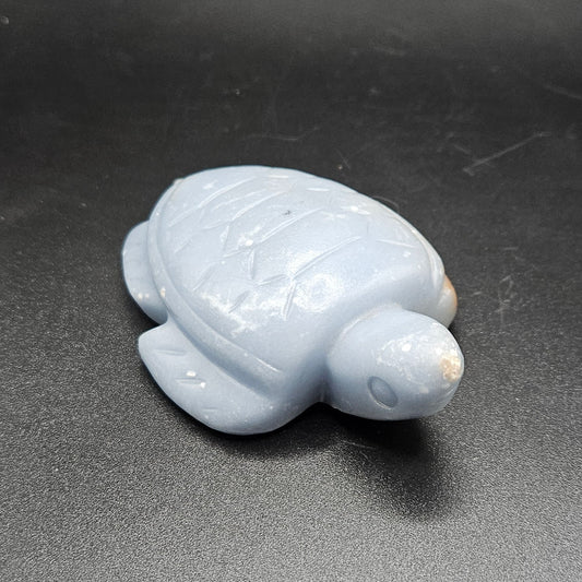 Angelite turtle