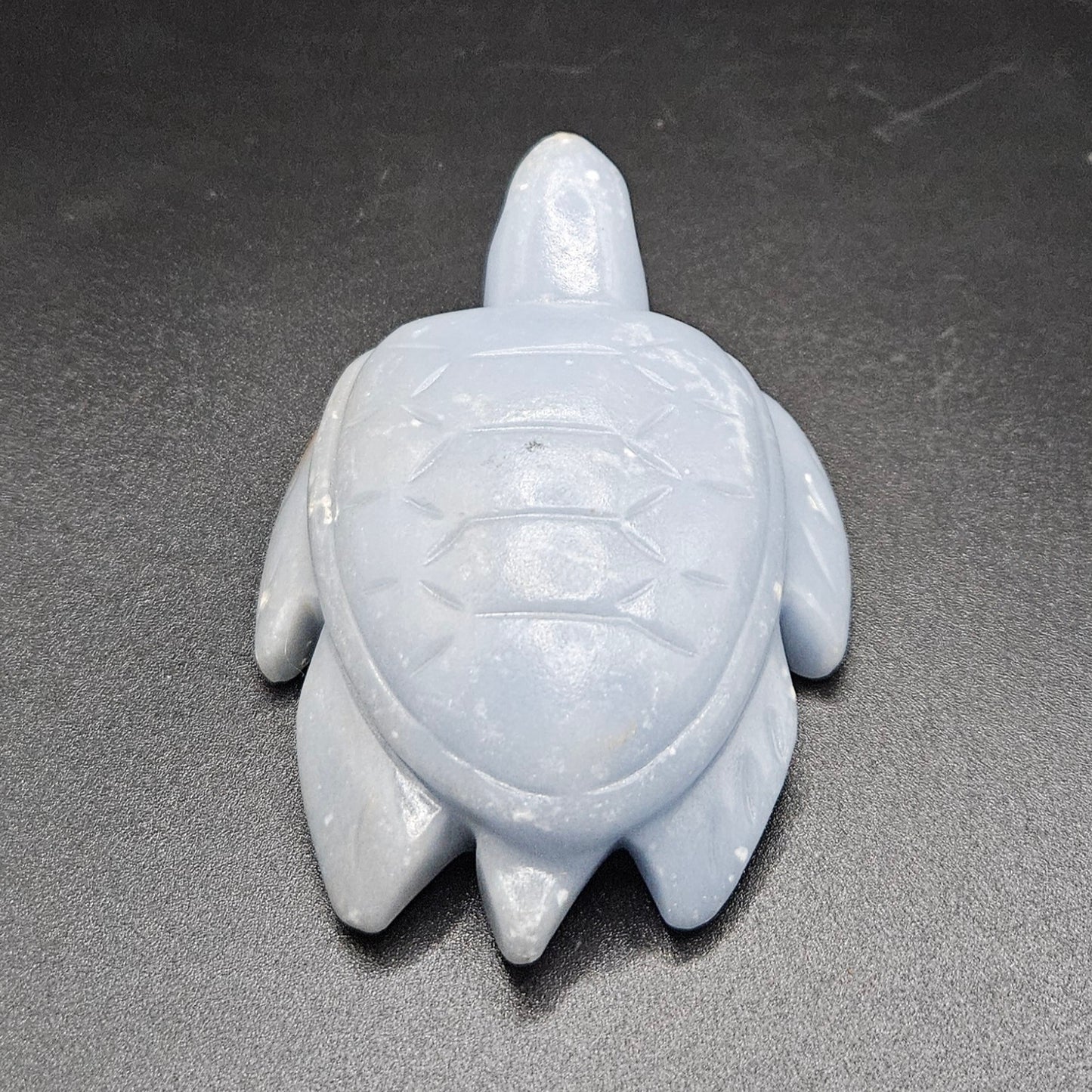 Angelite turtle