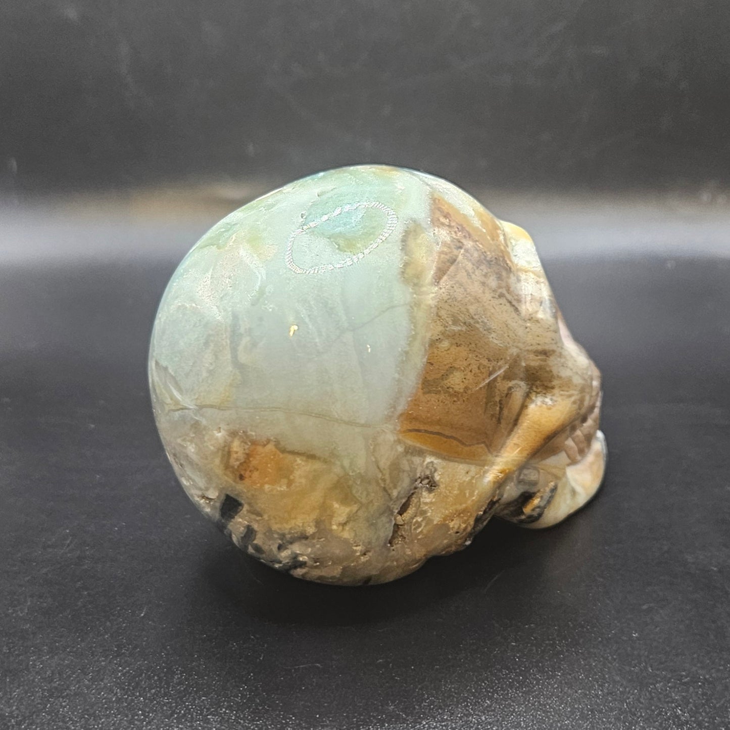 Caribbean Calcite skull